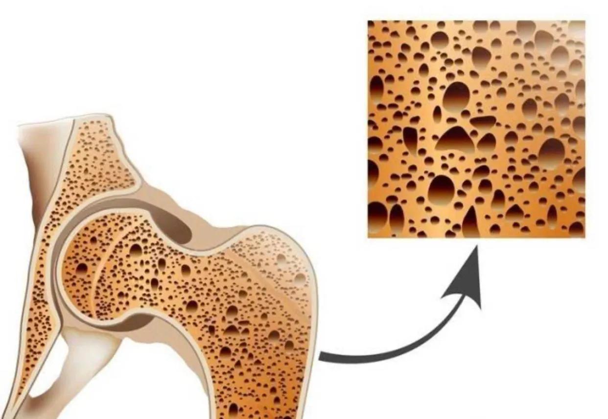 健身才不会颓废,健康健身的常识你必须知道