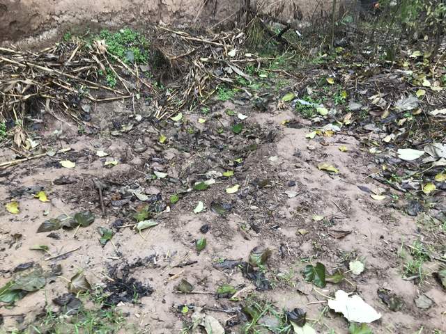 陕西15岁学生被6人围殴致死遭掩埋,陕西15岁少年遭围殴致死后续