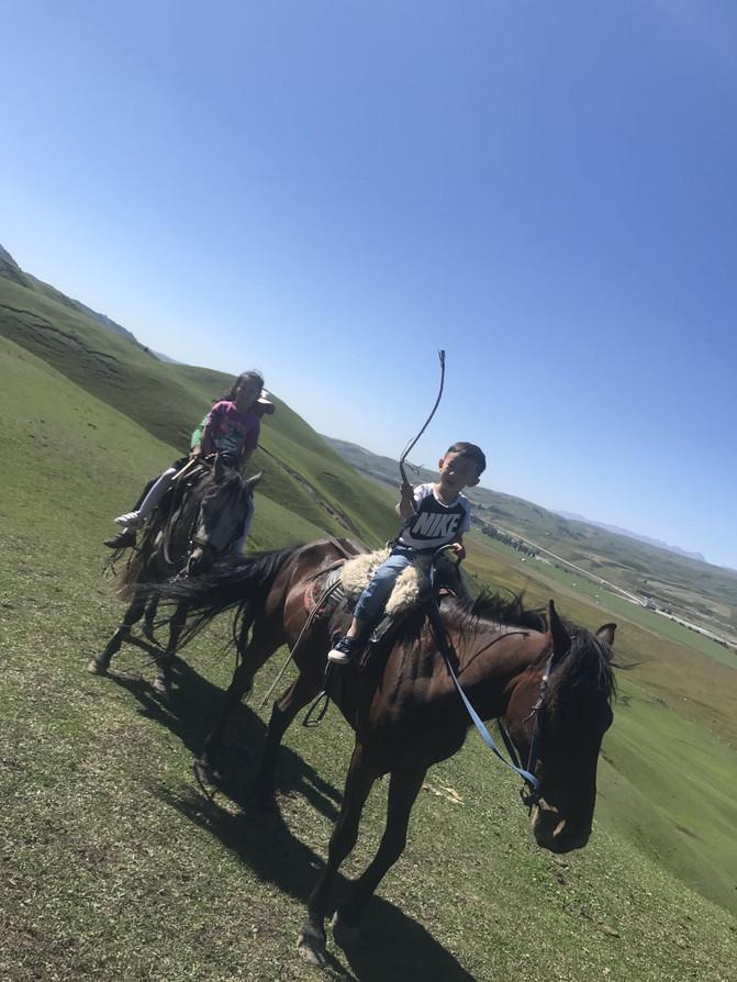 亲子游3天2晚郑州,暑假遛娃郑州