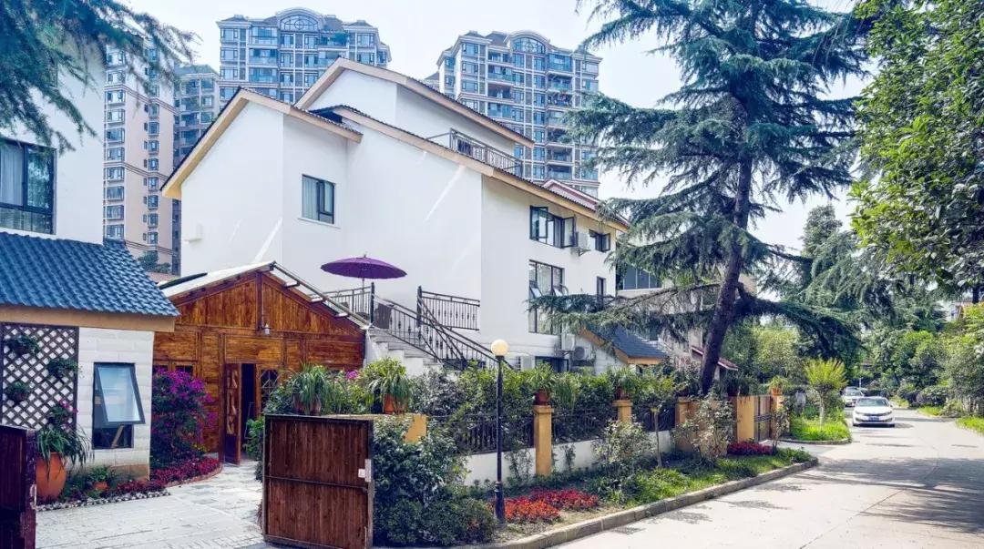 开民宿赚钱的老板,开民宿到底赚不赚钱