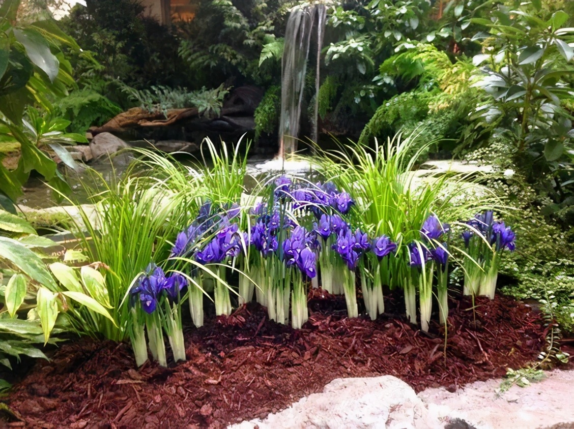 布查德花园的秋冬季,全球最美花园布查特花园