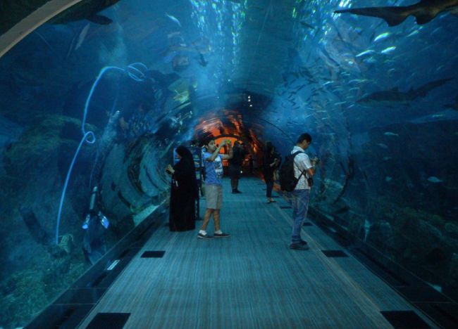 迪拜十大旅游景点介绍,迪拜最佳旅游景点排名