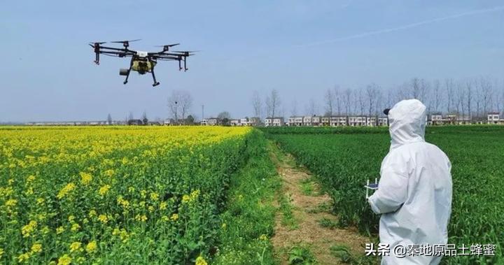 怎么才能买到真蜂蜜,如何才能买到真蜂蜜