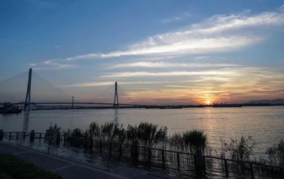 南京这些免费公园，让你任性玩个遍