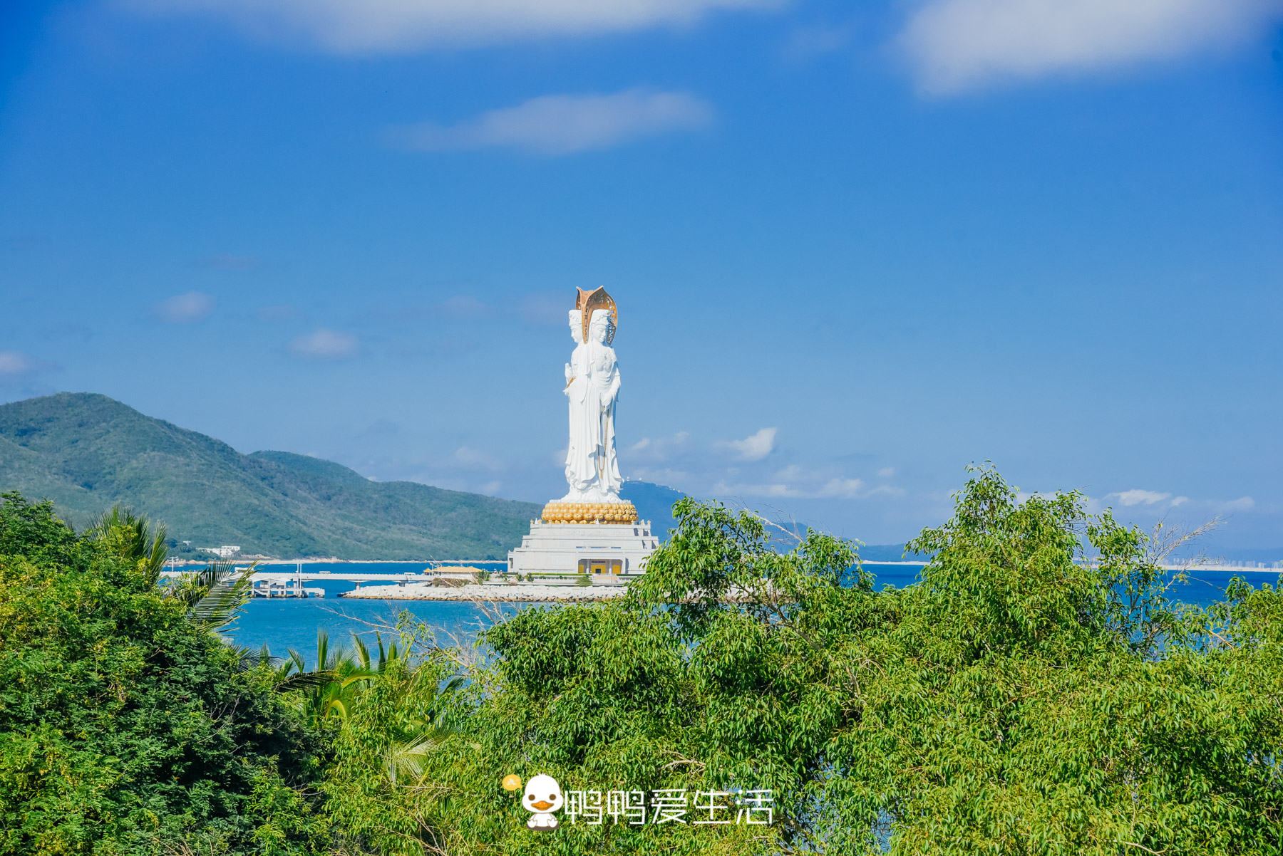 最大的白衣观音像在哪里,世界最高的白衣观音圣像在哪里