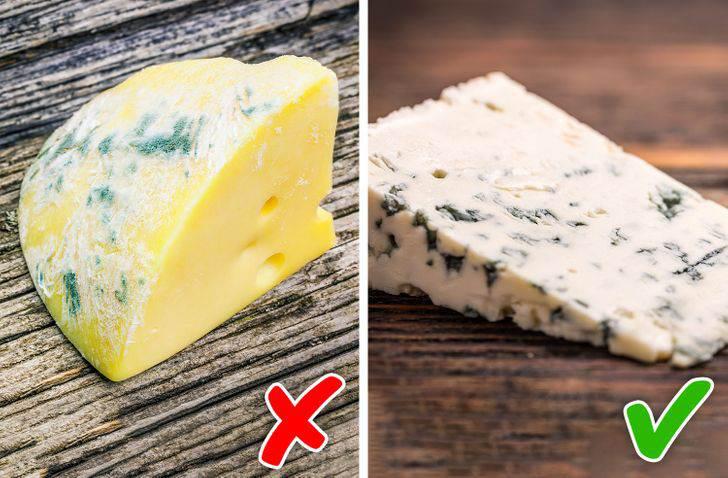 误食霉菌会发烧吗,误食了有霉菌的食物会怎么样