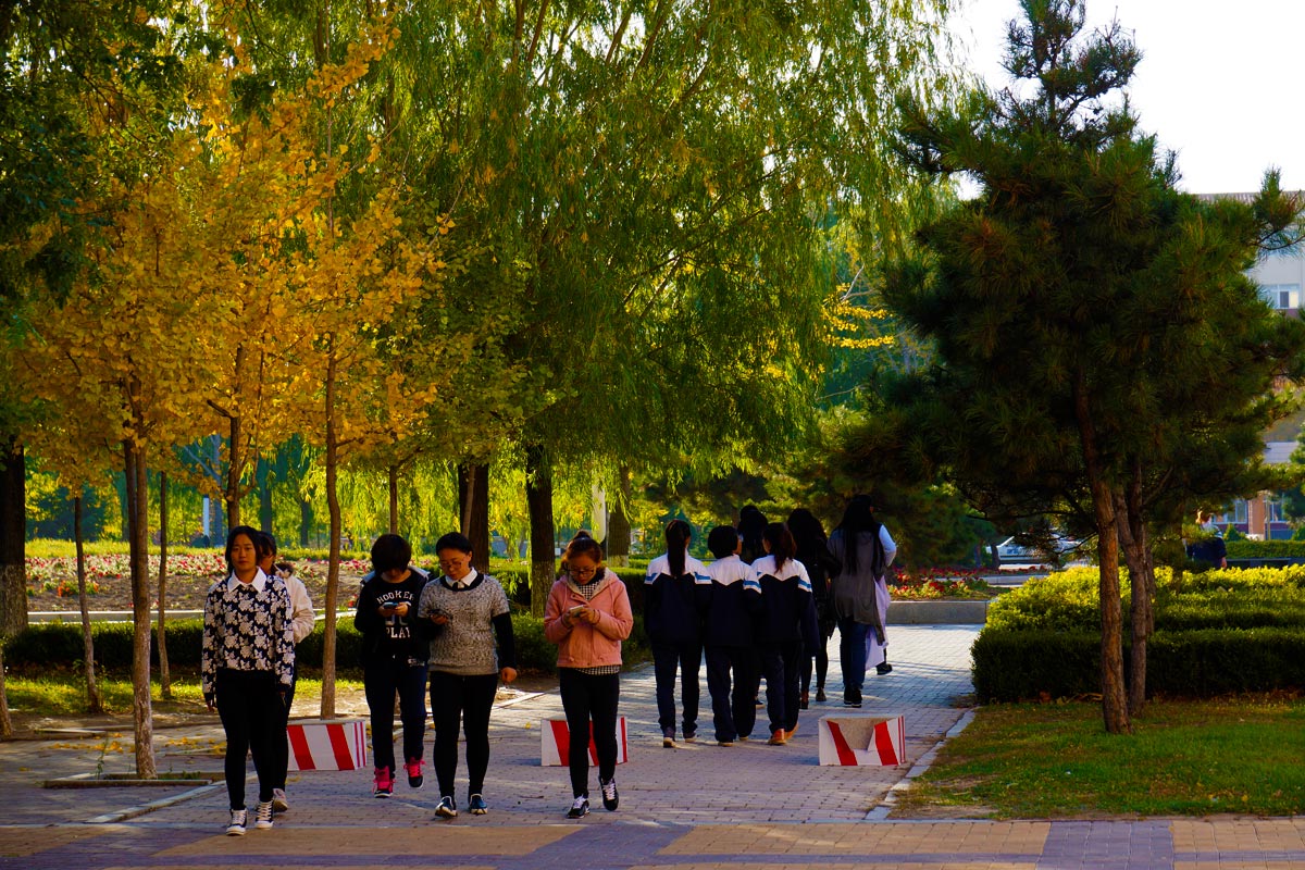 营口鲅鱼圈学府,沈阳营口农业职业技术学院