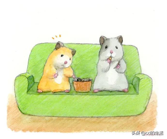 m78基因跟吃香菜有什么关系,不喜欢吃香菜的科学原因