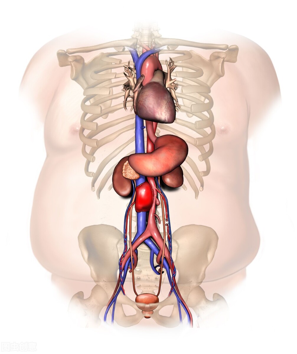 前列腺炎补肾通瘀,肝肾阴虚能导致前列腺炎吗