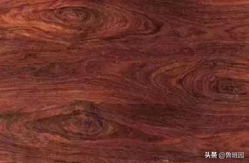 花梨木有哪几种木材,花梨木的十种鉴别方法
