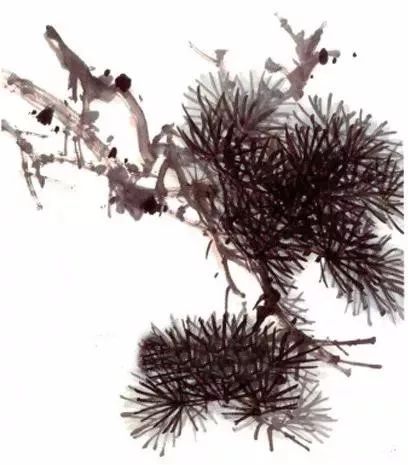 图文教程松树画法步骤解析,图文教程松树画法