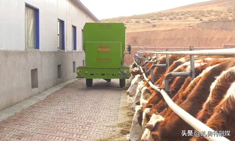 念牛经发牛财,念牛经发牛财的句子