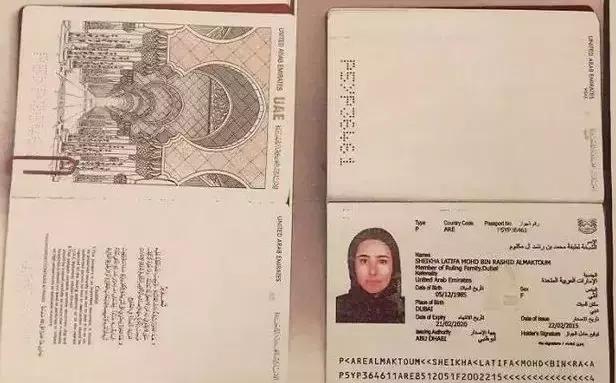 迪拜王妃带2.6亿逃跑啦