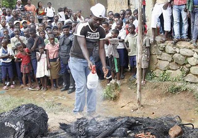 被上帝遗忘的国家,被上帝遗忘的刚果