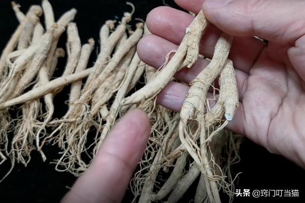 如何辨别人参用硫黄泡过,如何辨别硫磺熏过的药材