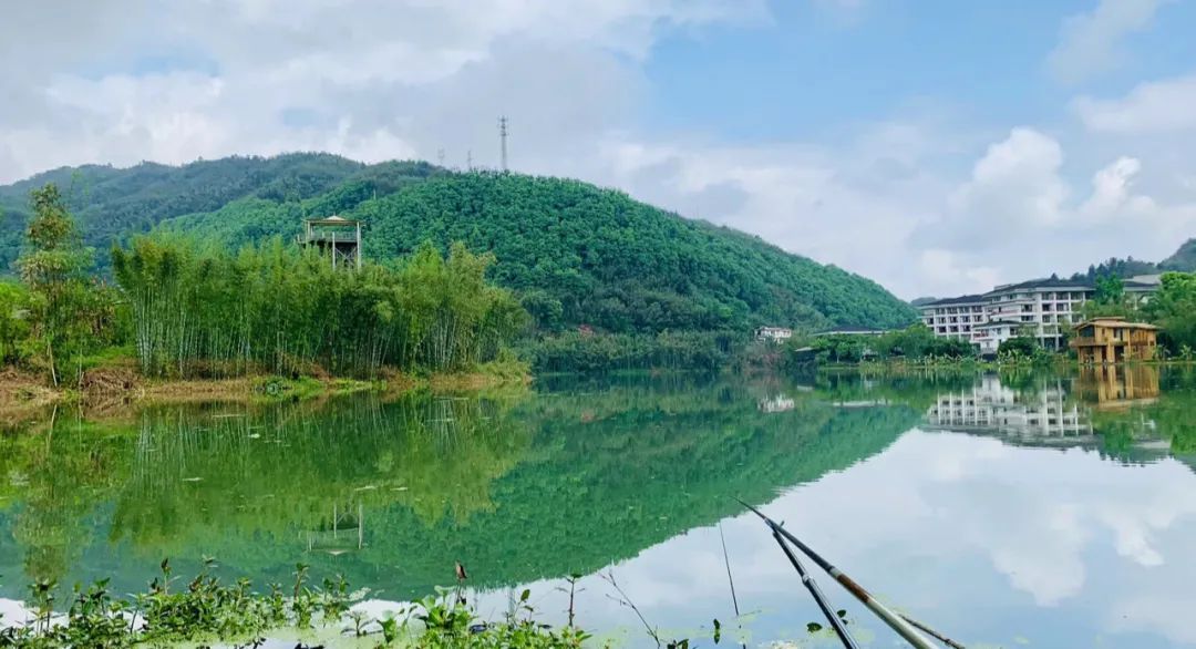 野奢不被鄙视?问问那些爱钓鱼的老孩子们,他们有活蹦乱跳的经验