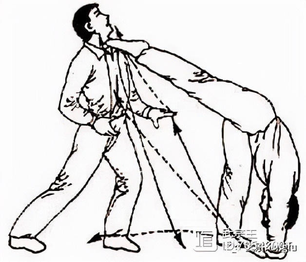 戳脚腿法实战视频,戳脚实战组合技法