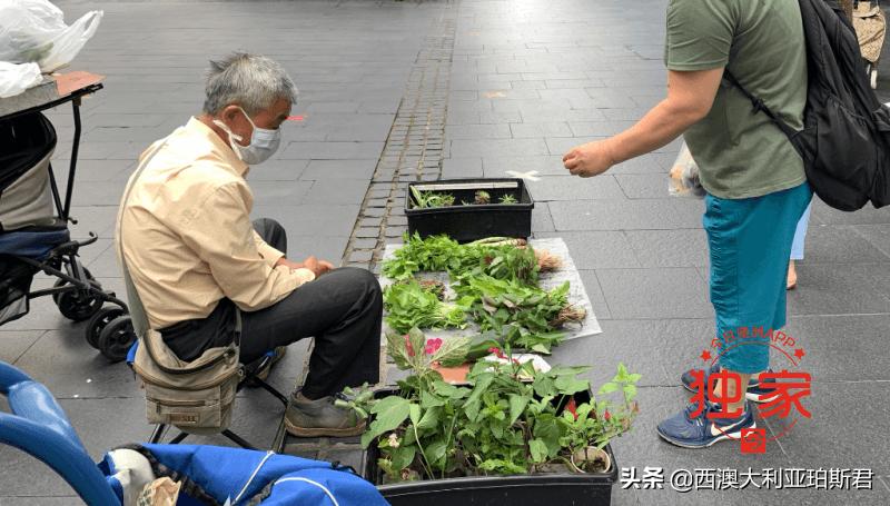 中国大爷在澳洲步行街摆摊卖菜惹争议,网友褒贬不一