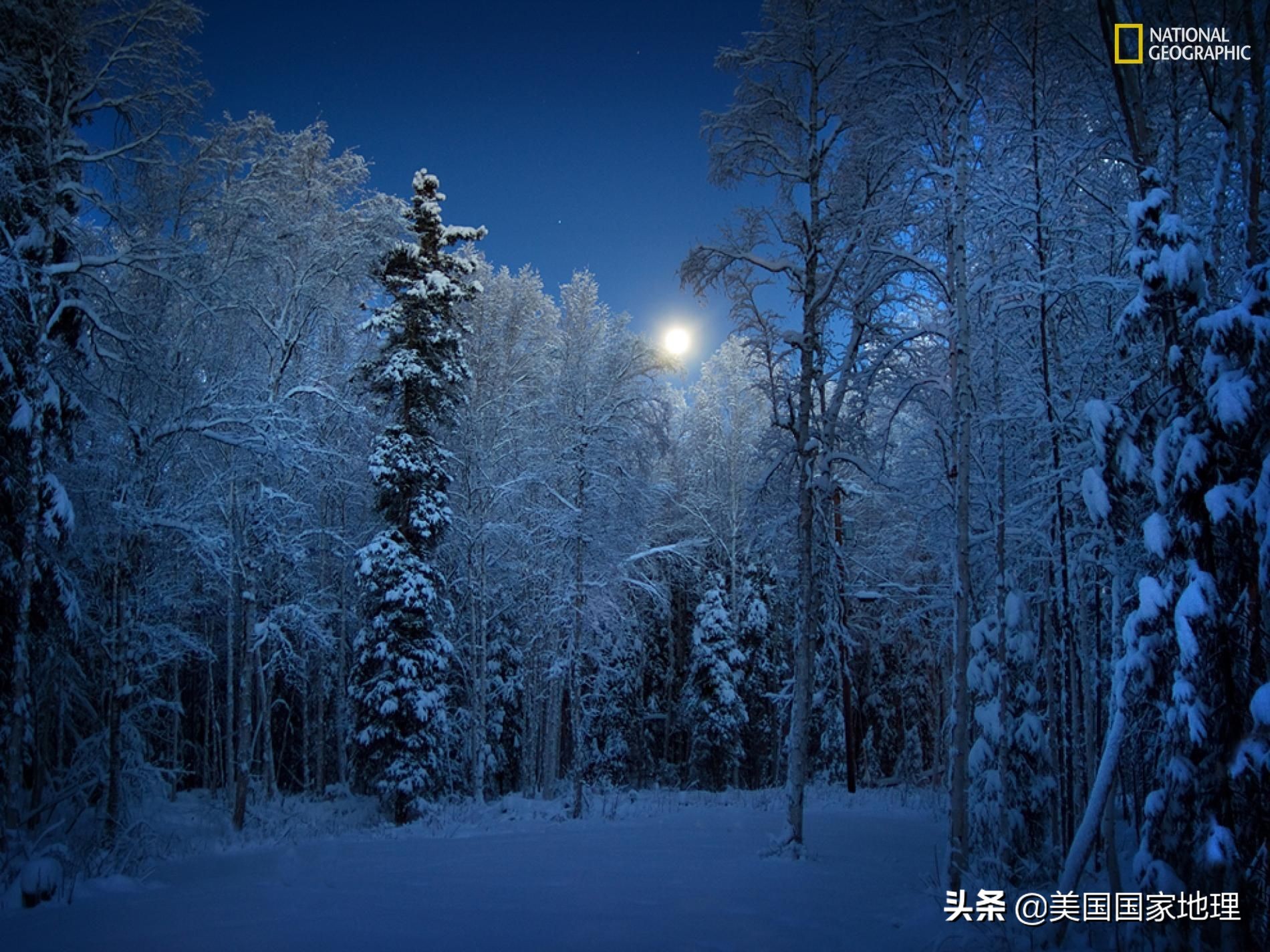 阿拉斯加行者遗珠,阿拉斯加隐秘遗珠