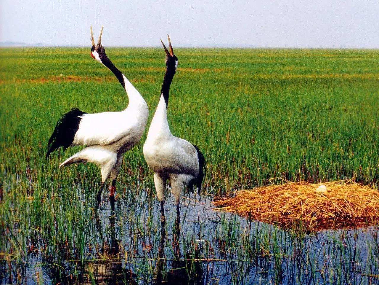 黑龙江人口破百万的城市,黑龙江13个城市人口对比