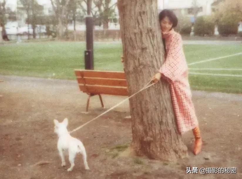 世界顶级摄影师的经典摄影作品,全球100位摄影师分享