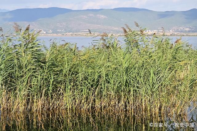 孕妈妈食谱5个月,春季炖汤食谱大全