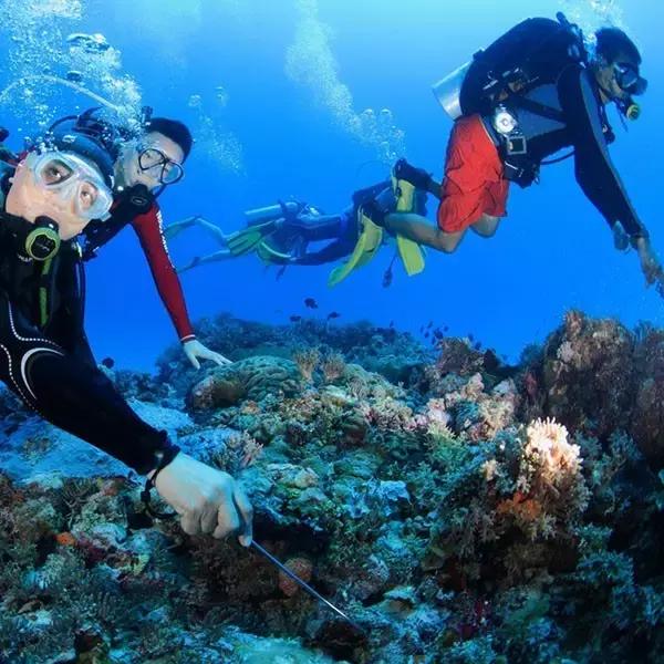 全球惊艳的10个海底世界，看到第一个就想出发！