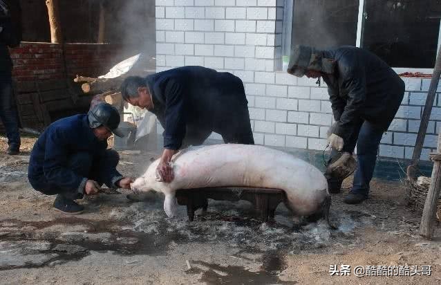 最正宗的东北农村杀猪菜,东北杀猪菜血肠灌肉