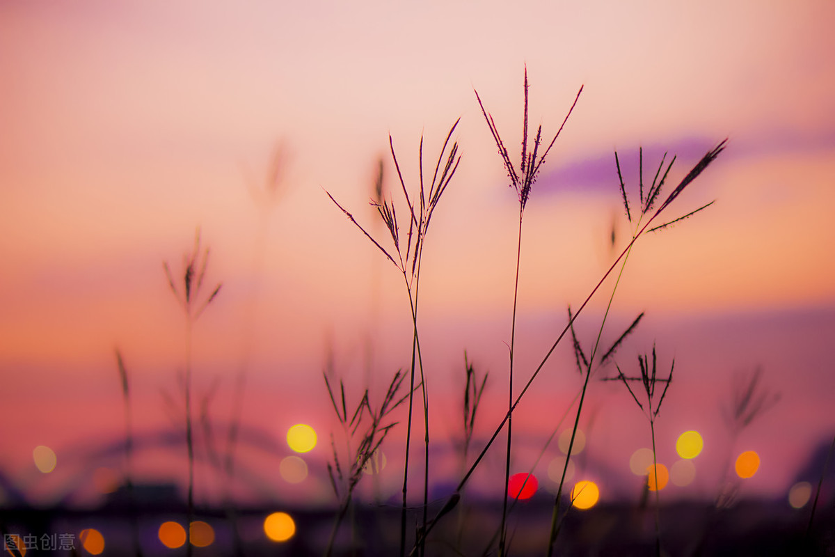 千万不要对这三个星座耍心机,脾气虽好但最难对付的三大星座