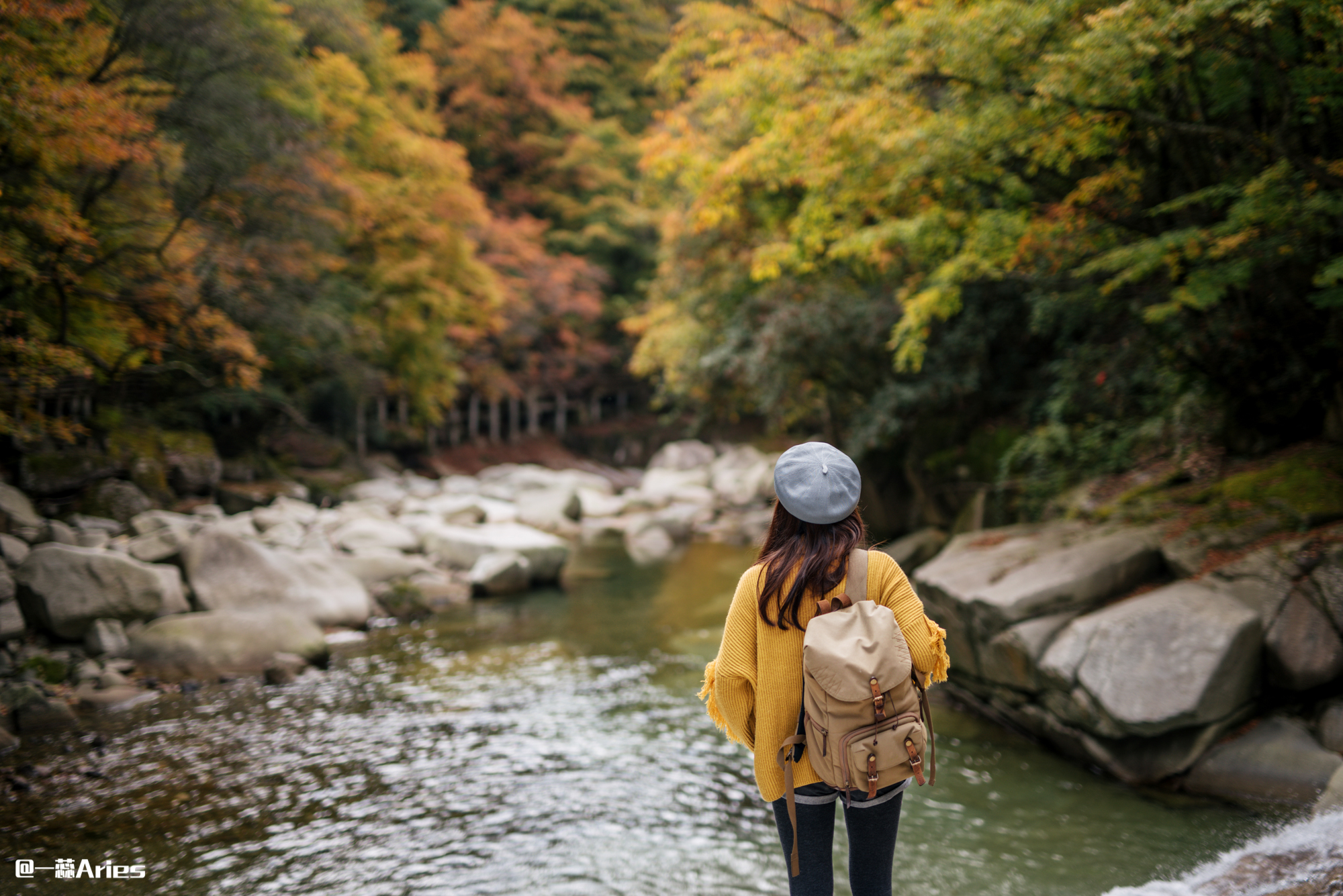 成都周边秋天美到极致的秋色,成都近郊游最美秋色