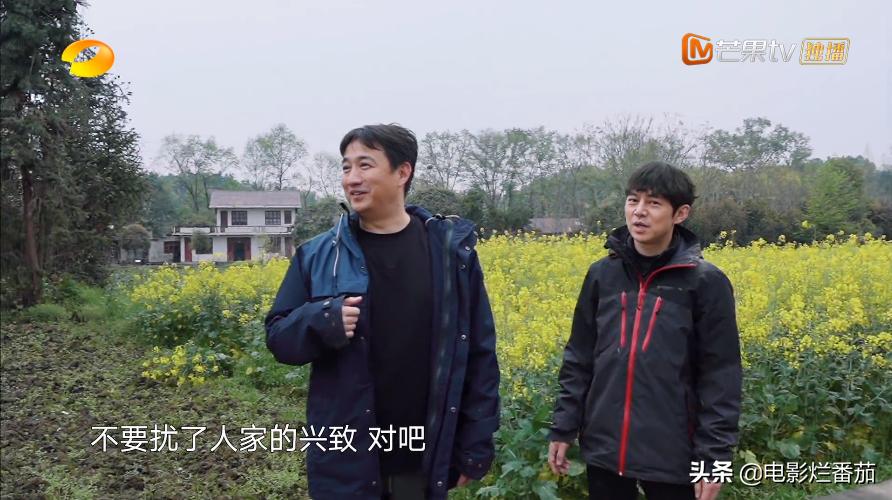 向往的生活2023会完结吗,向往的生活第七季怎么停更了