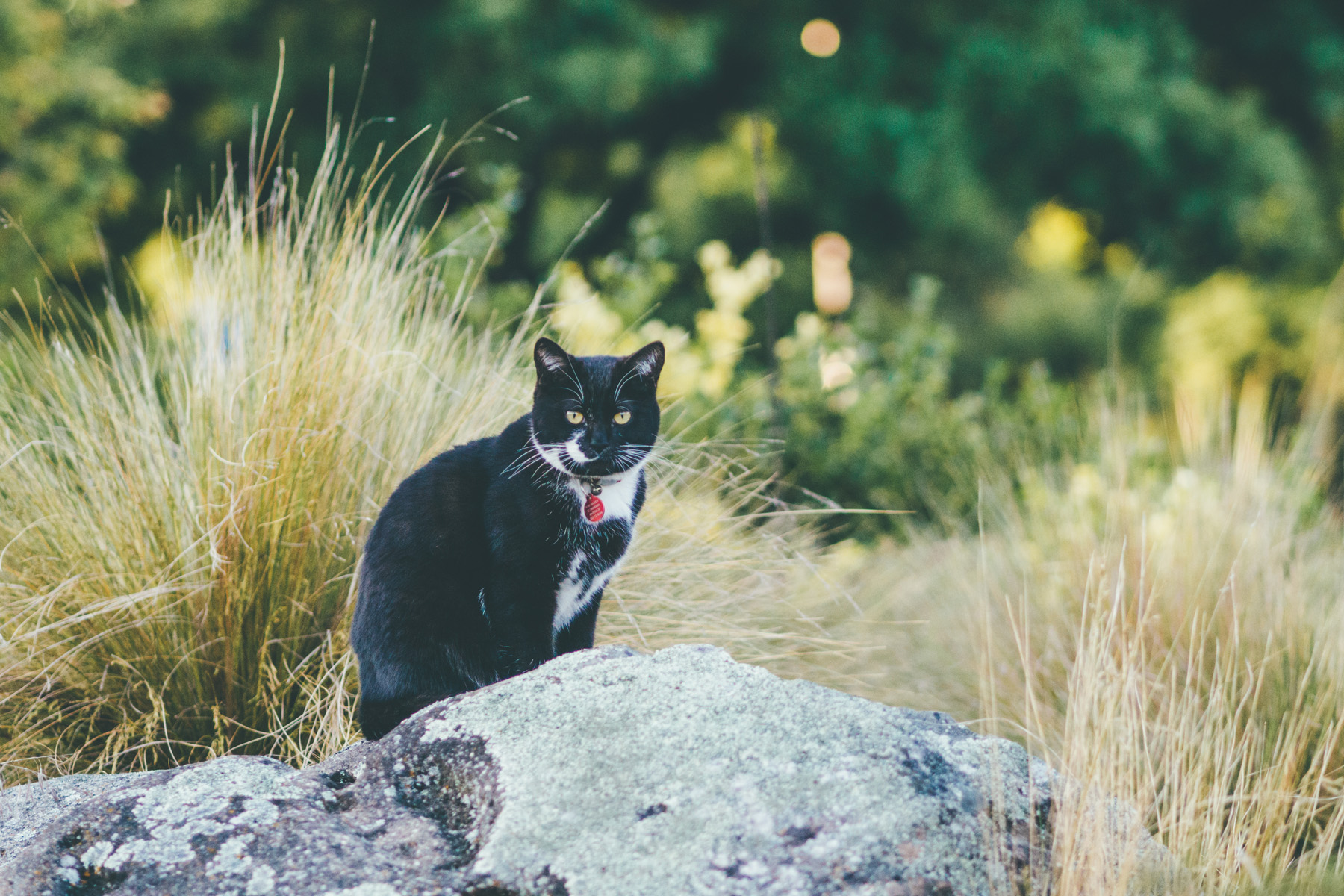 自己拍旅游vlog需要什么装备,不走冤枉路不花钱攻略