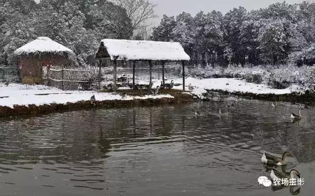 大龄休闲农庄有哪些,做休闲农庄必须考虑的几个问题