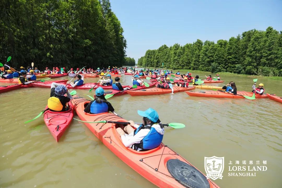 临港还有啥国际学校,临港目前都有哪些学校