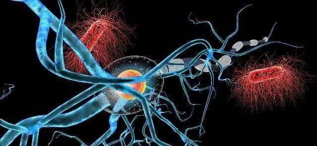 糖尿病人手脚麻木吃什么中药,糖尿病人手脚麻木的治疗偏方