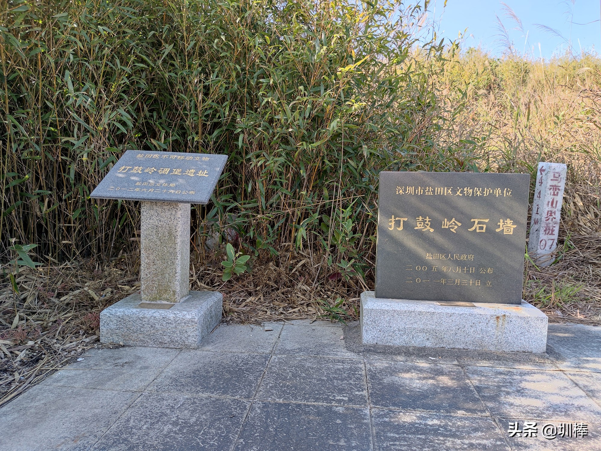 爬深圳山,爬深圳莲花山公园
