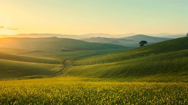 xps13买普通版还是二合一版,xps13二合一与普通版