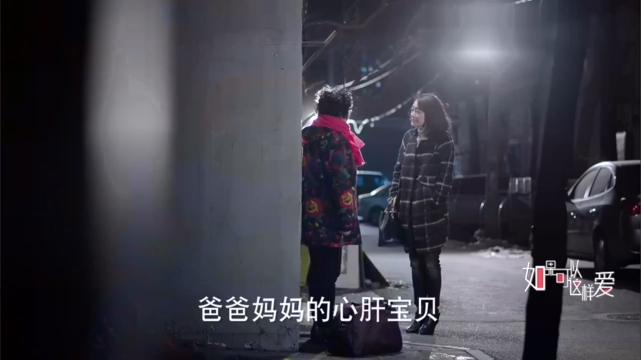 看电视学成语,看电视学习成语