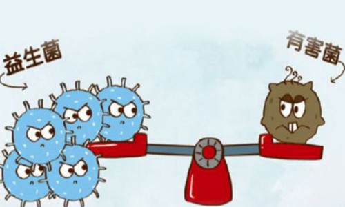 康萃乐和lifespace益生菌哪个好,康萃乐益生菌品牌怎么样