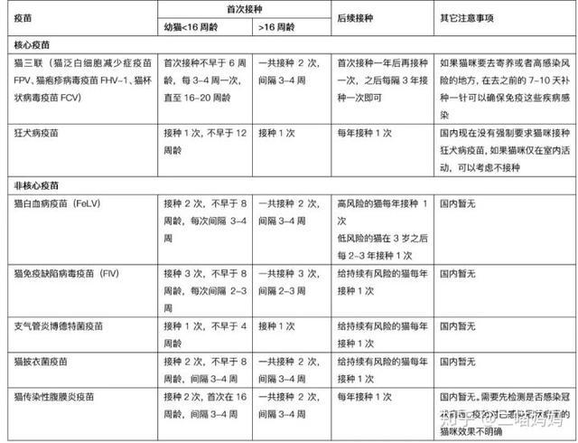新手铲屎官去宠物店需要注意什么,新手铲屎官的真实故事