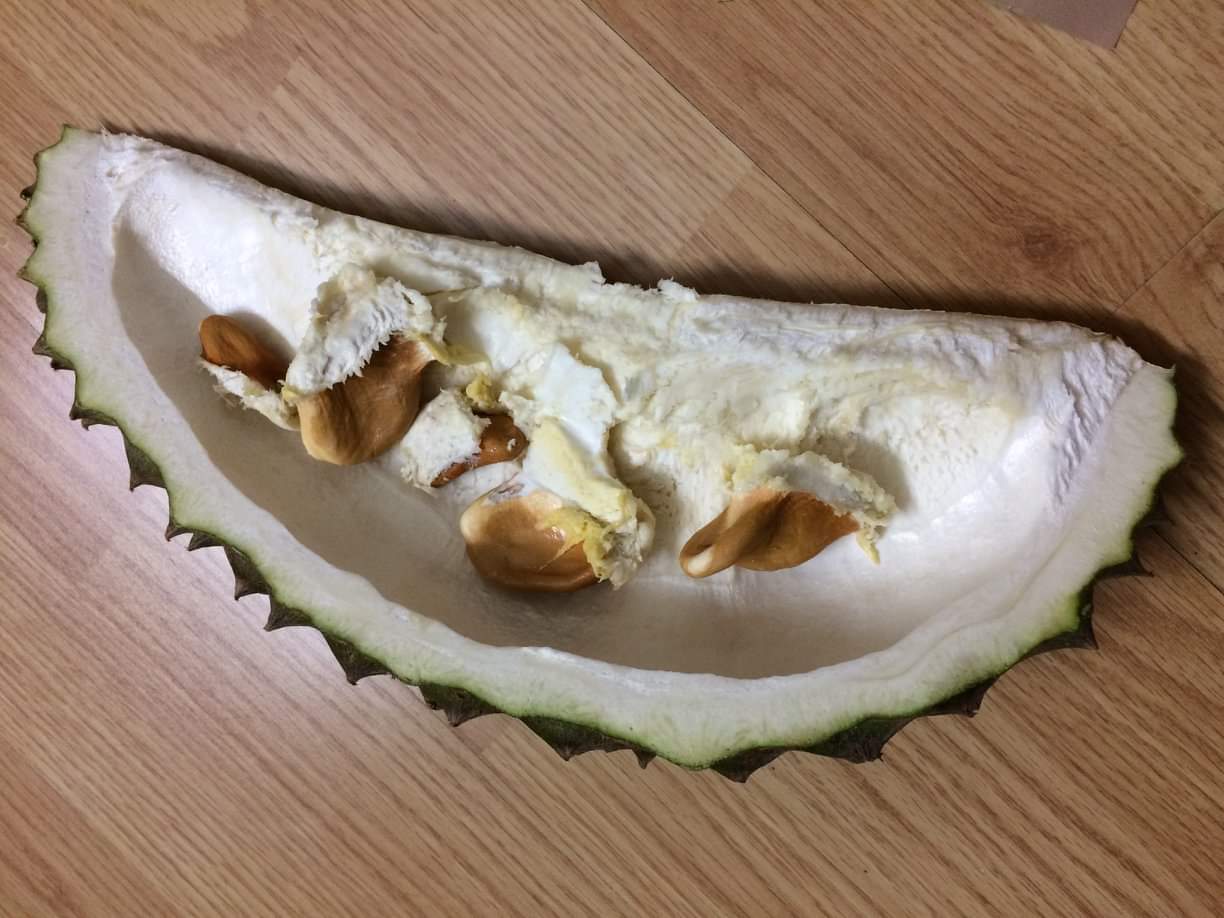 榴莲品种d13,泰国榴莲d197是什么品种