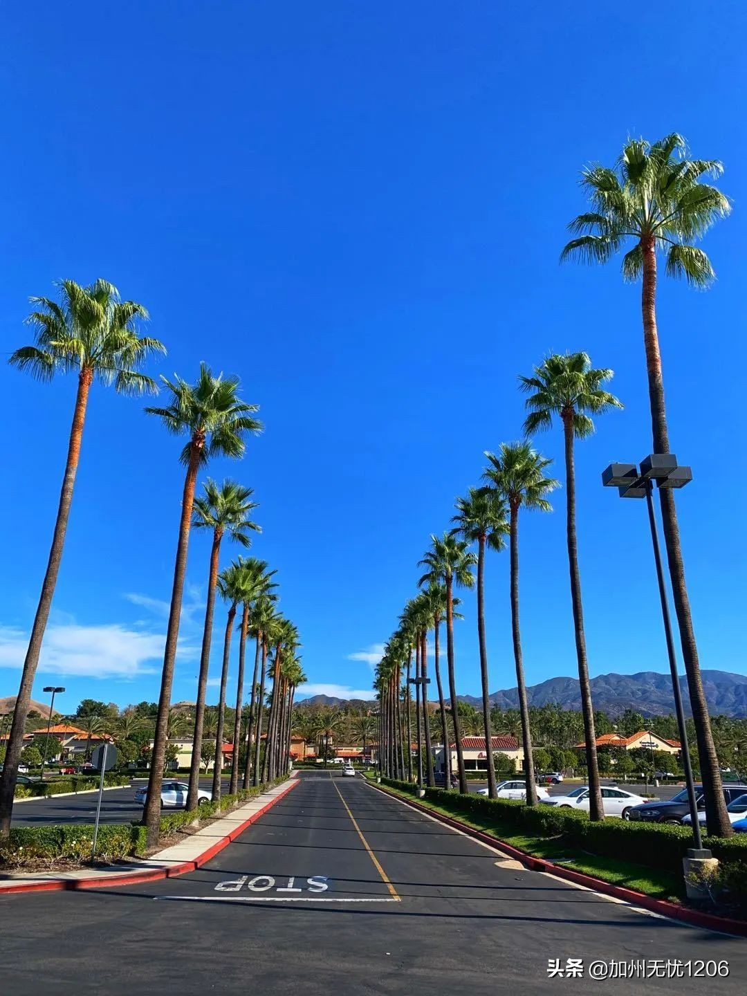 美国确诊超123万,美国确诊超60万是真的吗