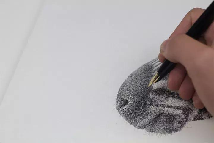 小央美钢笔画视频,极品五大钢笔画简直美爆