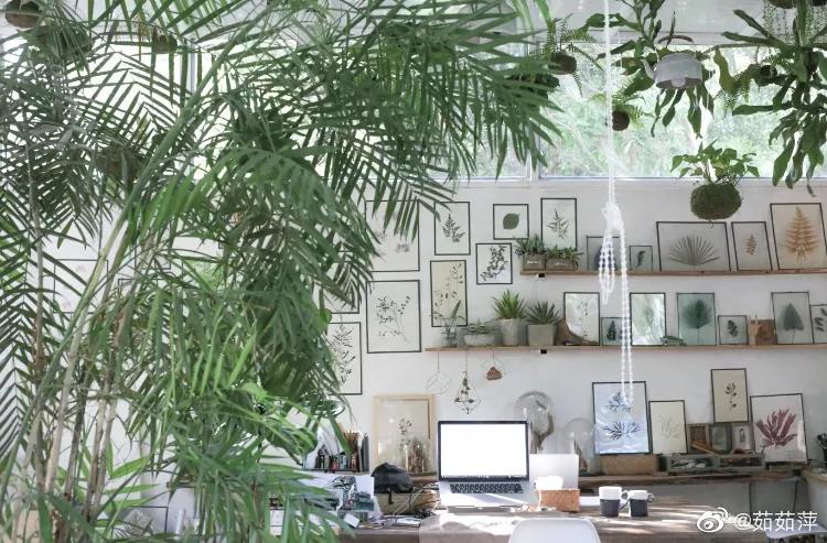 夫妻深山打造500万别墅,90后夫妻隐居山林自建小屋