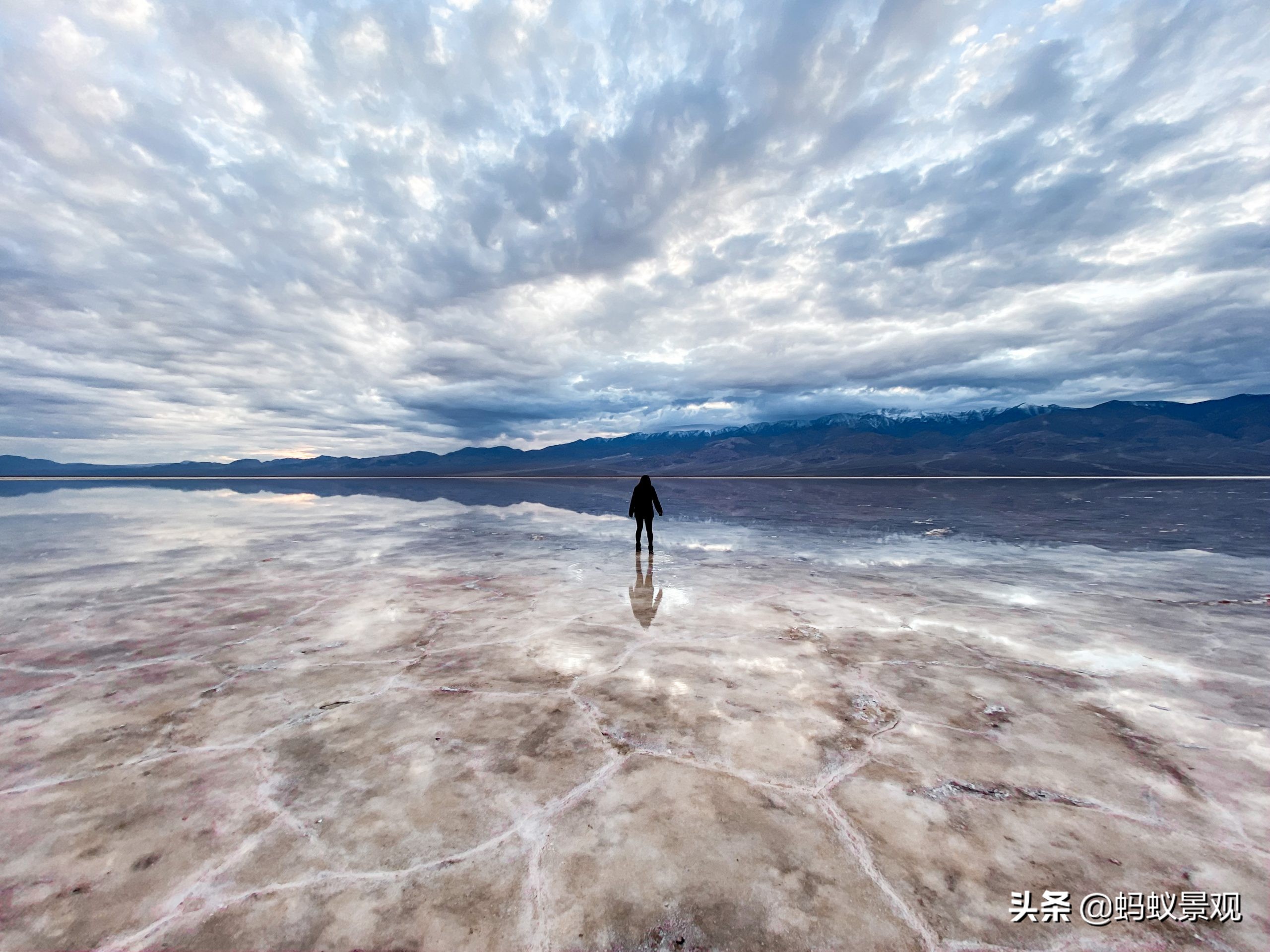 蒙太奇如何学习,蒙太奇理解