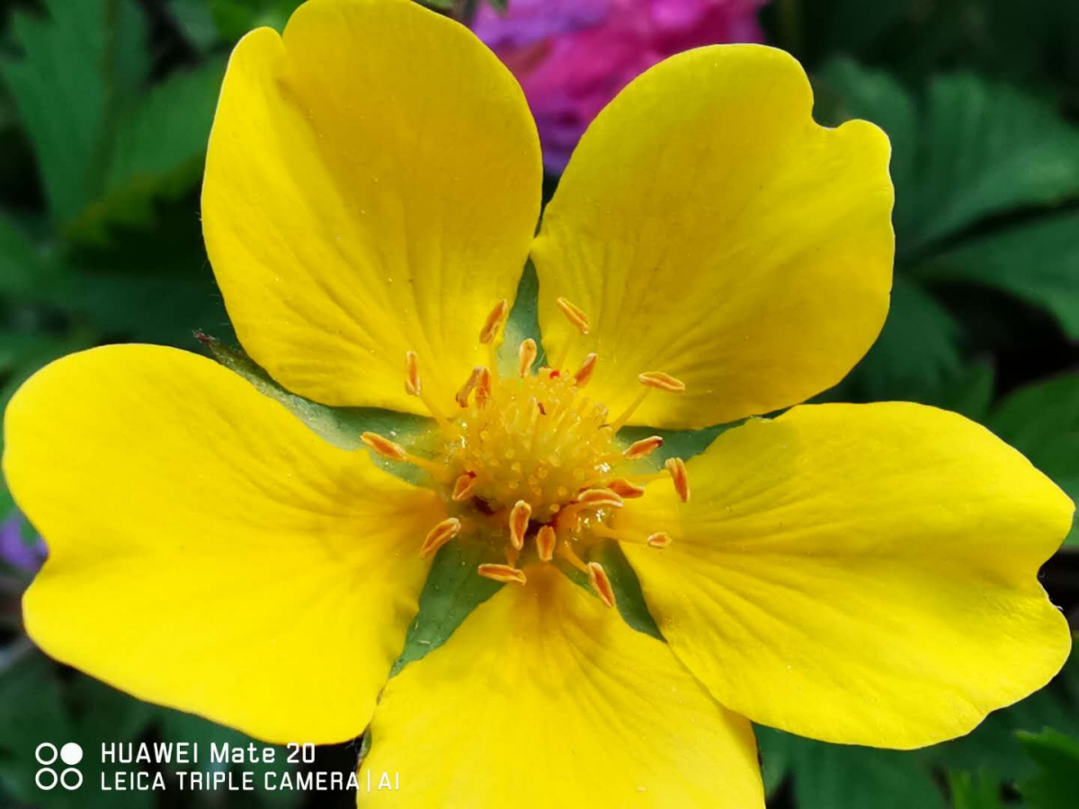 华为mate20测评什么处理器,华为mate20测评最新