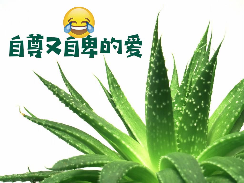 《小欢喜》宋倩的家装风格,为什么这么受欢迎?