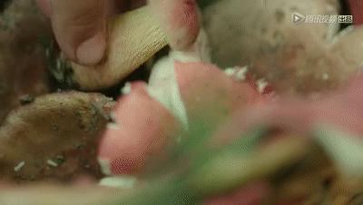 全国火锅图鉴，到底哪里的最好吃？