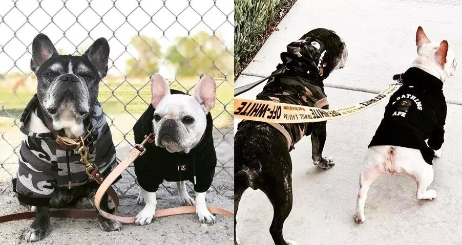 gucci和supreme联名马丁靴,guccisupreme鞋子