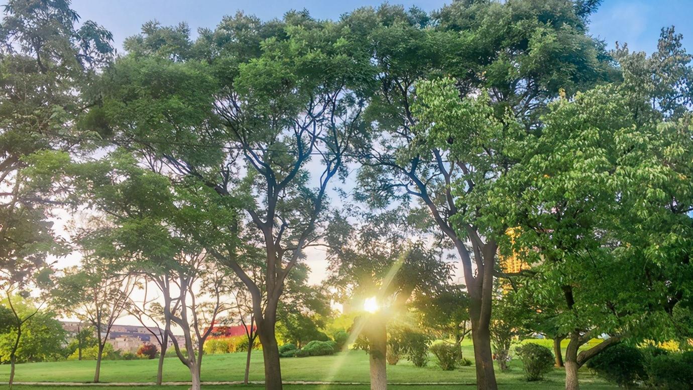 辽宁省大连市几个区,浅谈34个省市之江苏